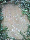 image of grave number 282090